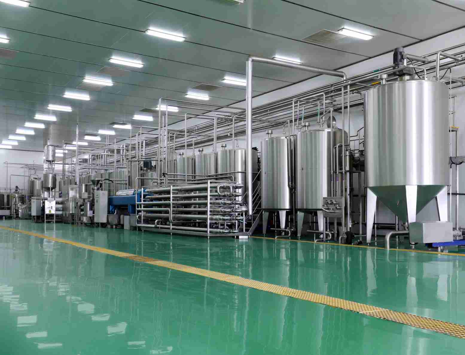 Factory-display-of-the-commercial-yogurt-processing-plant